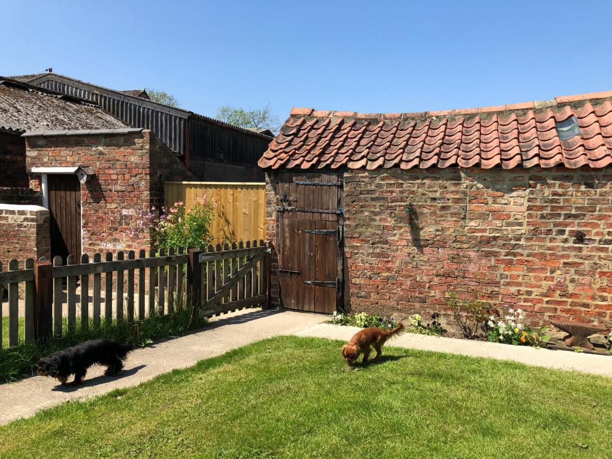 Morndyke Cottage Thirsk Exteriör bild